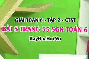 Giải bài 5 trang 55 Toán 6 Tập 2 SGK Chân trời sáng tạo